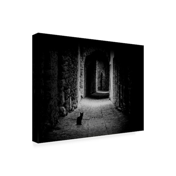 Omer Ates Kzltug 'Black Cat Path' Canvas Art,14x19